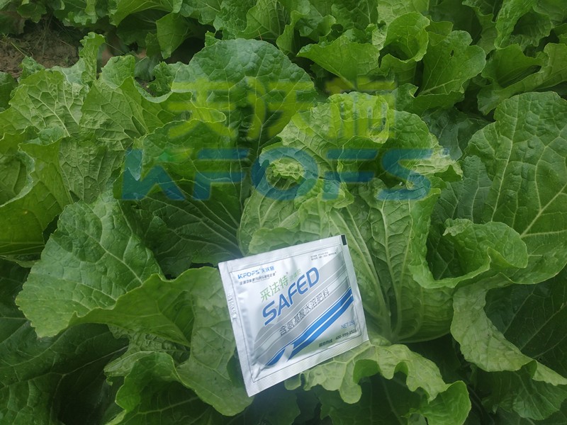 白菜葉面肥哪家好？