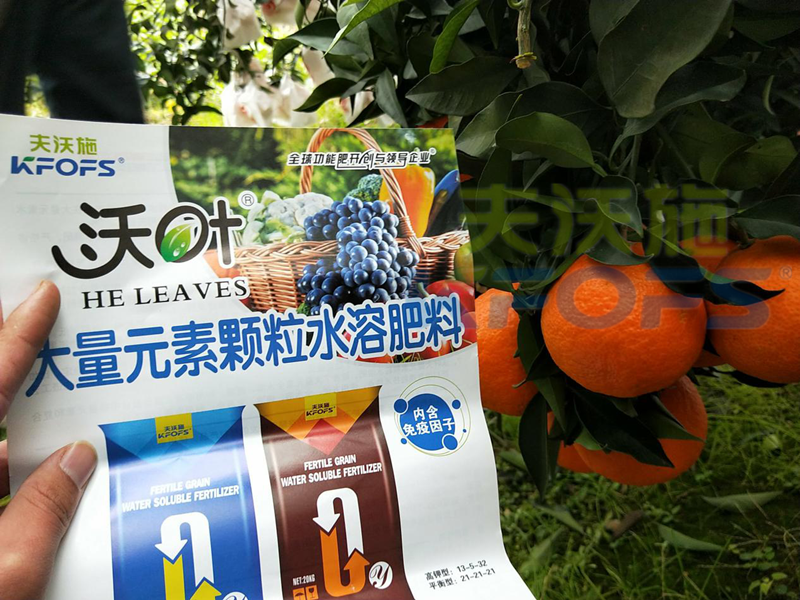 柑橘轉(zhuǎn)色期水溶肥這樣用！