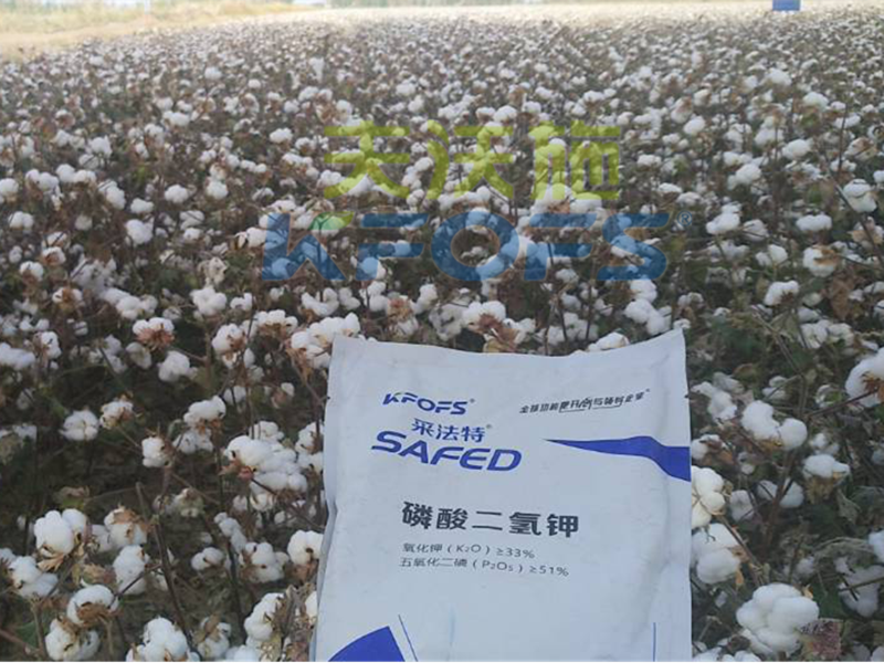 水溶肥哪家好？楊老板說他只信賴采法特！