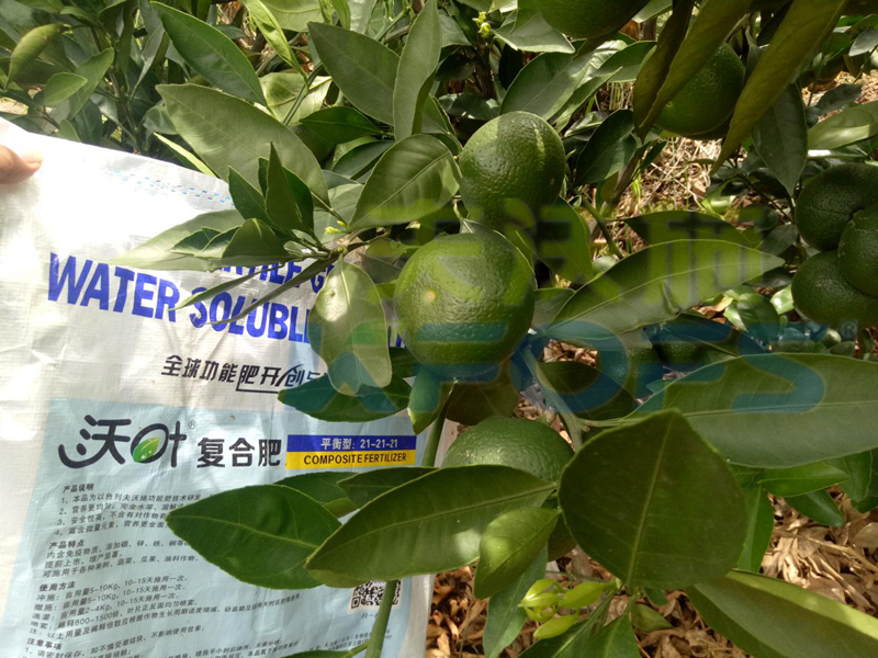 化肥到水溶肥的完美轉型之路.png