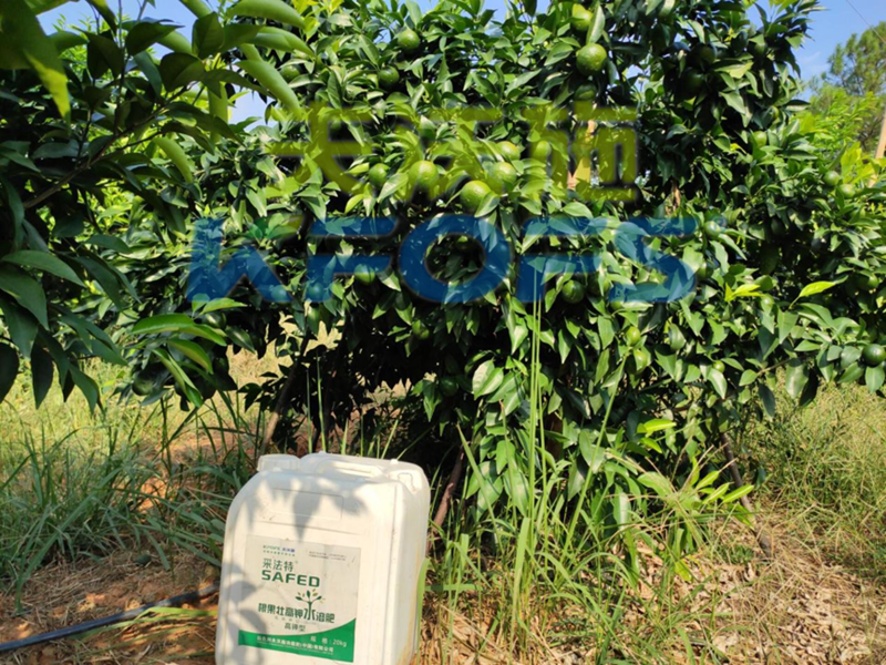 果樹使用哪種水溶肥能順利過(guò)冬？