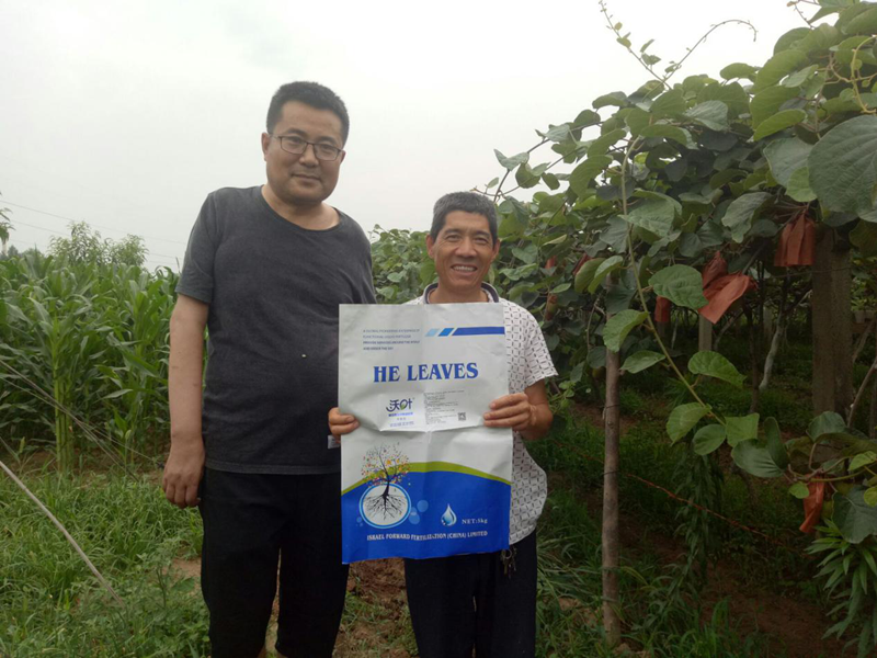 微生物菌劑-獼猴桃沃葉微生物菌劑用戶見(jiàn)證.png