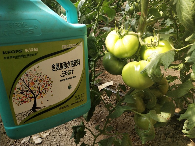 水溶肥哪個(gè)品牌好？看種植戶怎么說(shuō)！