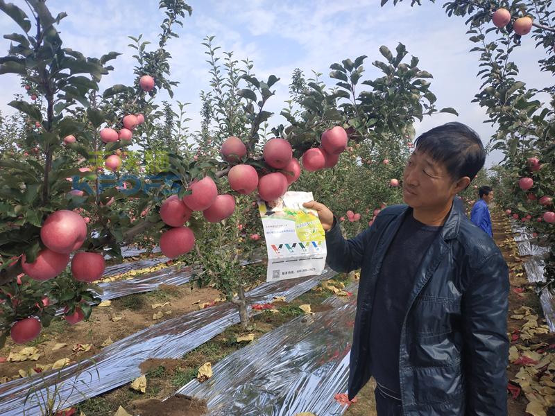 大量元素水溶肥的作用與功效-沃葉蘋(píng)果.png