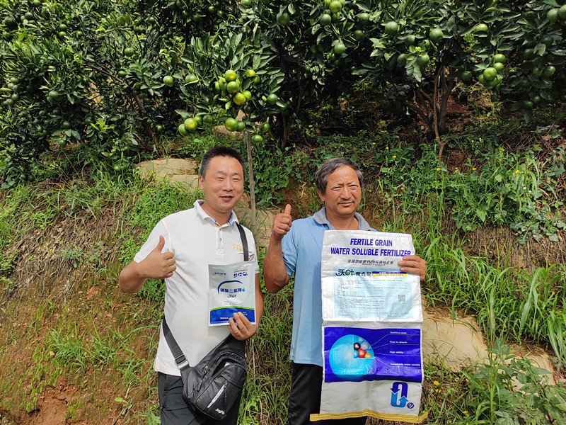 水溶肥-柑橘用沃葉水溶肥系列用戶見(jiàn)證1.png