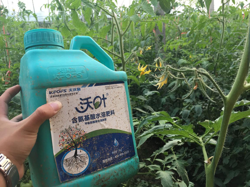 水溶肥如何在冬季使用？