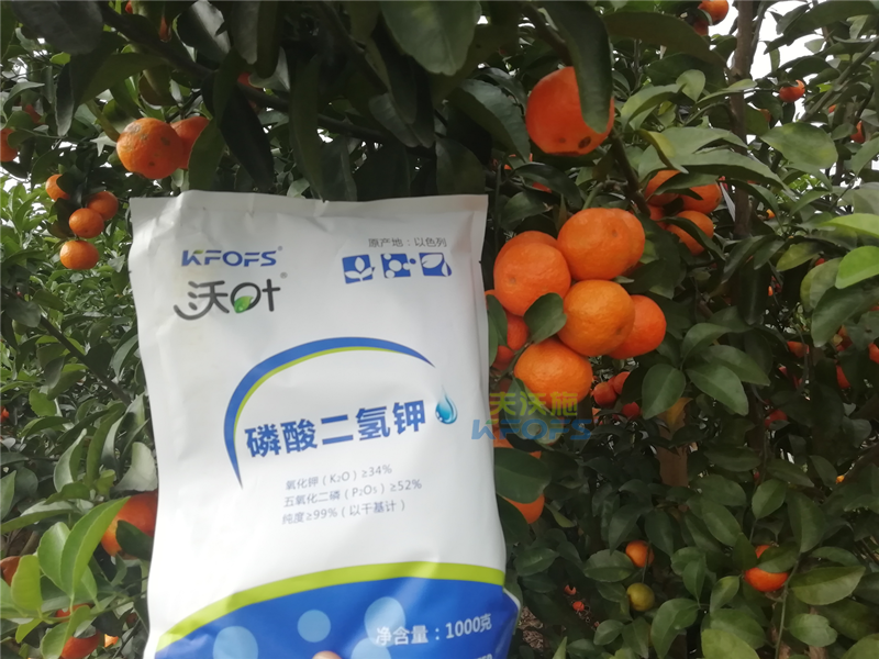 磷酸二氫鉀施用事半功倍，果樹補(bǔ)鉀應(yīng)怎么選？