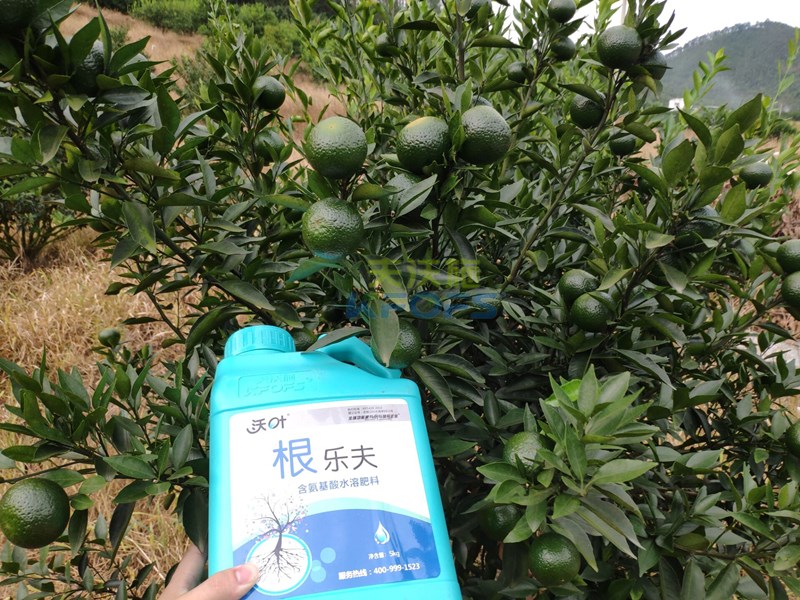 生根肥什么時(shí)候施好，正確的用肥方法來了！