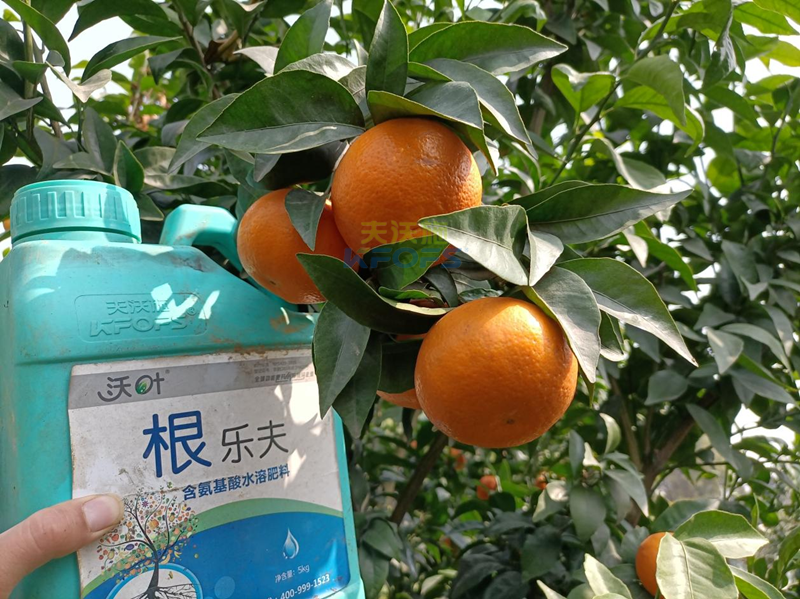 果樹春季施肥最佳時(shí)間，要把握住！