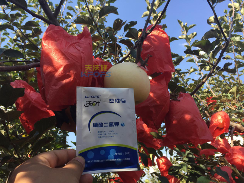 磷鉀肥和磷酸二氫鉀有什么區(qū)別？