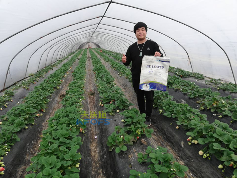 作物用肥，對食品安全的重要作用