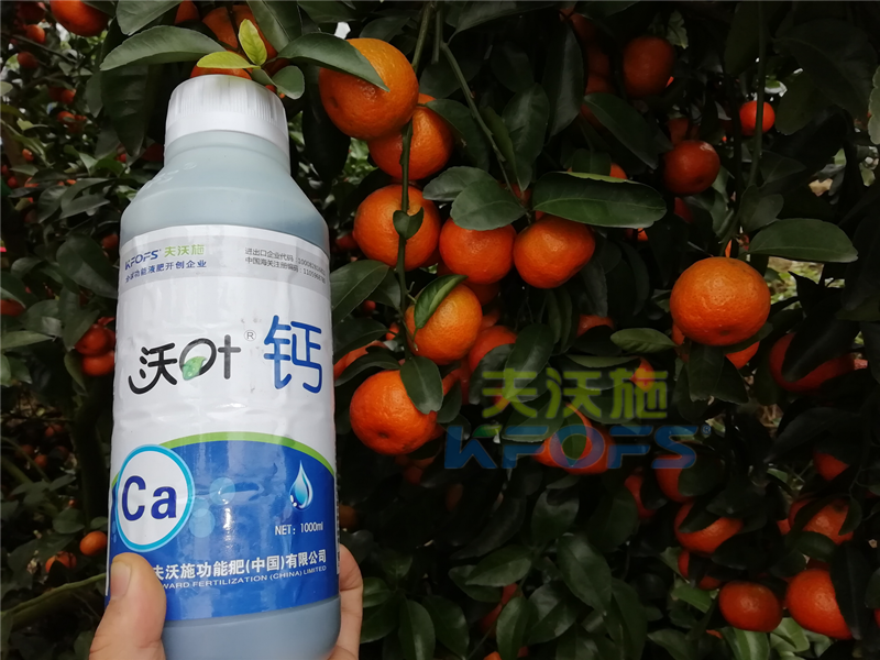 種柑橘用什么肥料好？