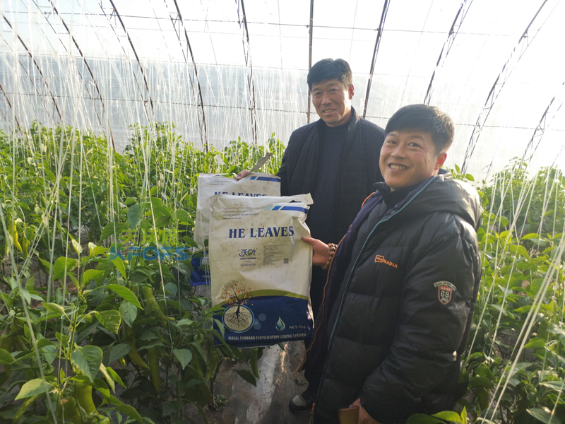 微生物菌劑是依靠什么在市場中迅速火爆起來？