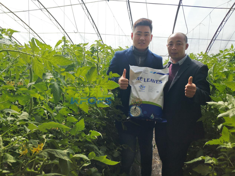 50年后的土壤如何，值得我們深思!