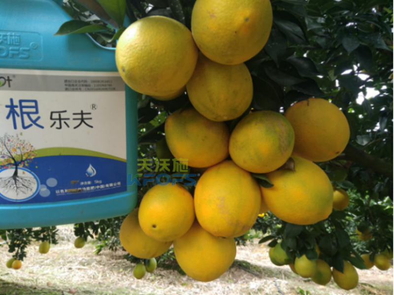 果樹(shù)沖施肥的方法和時(shí)間？