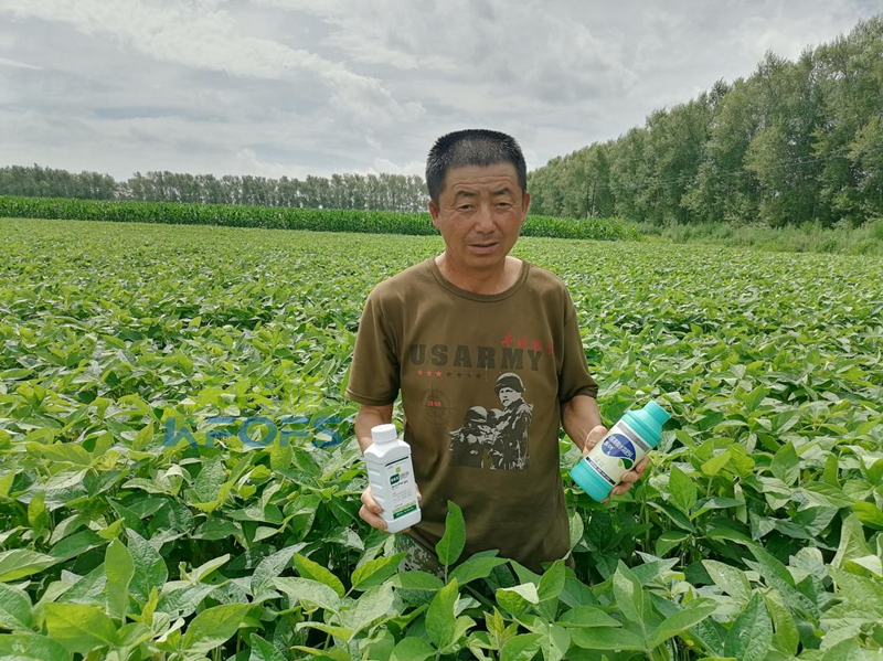 除草劑藥害，為什么安法戈可解？