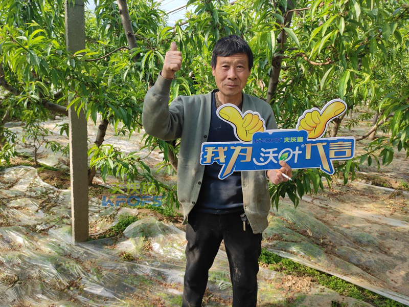 沃葉水溶肥怎么樣-沃葉用戶見(jiàn)證.png