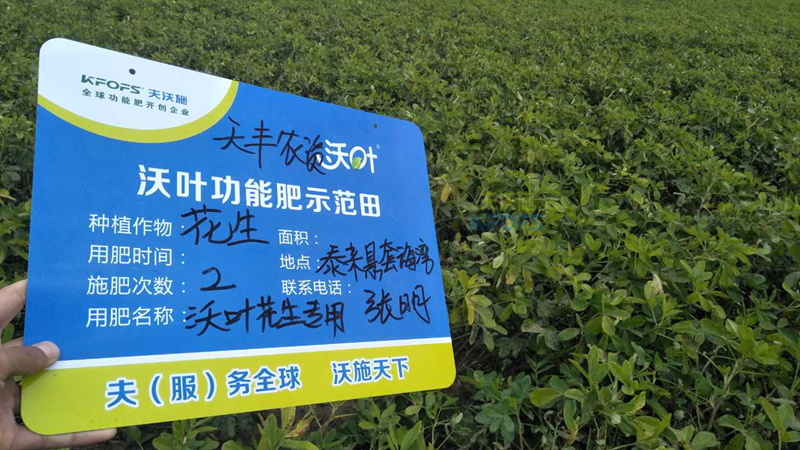 花生增產(chǎn)葉面肥用哪些好？