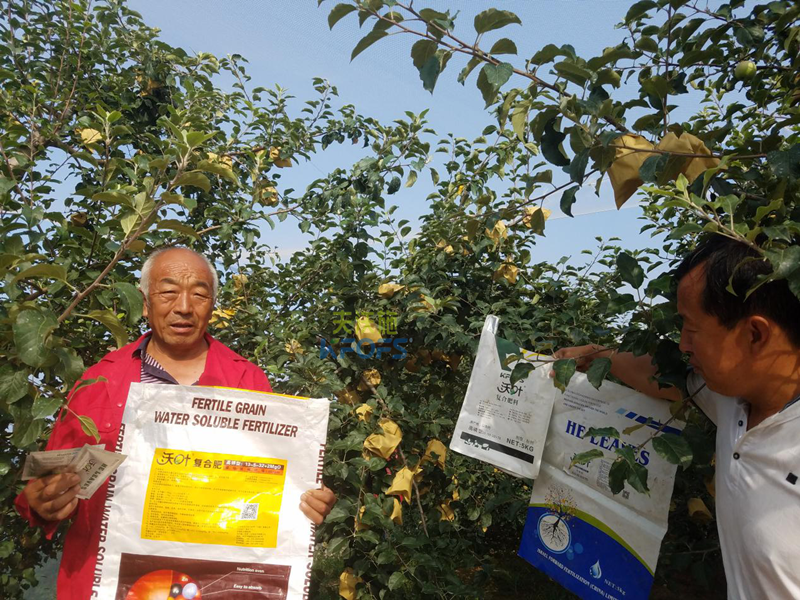 蘋果樹施什么肥好？