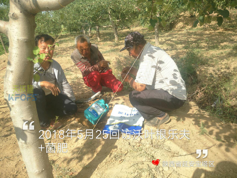 生根劑使用方法！