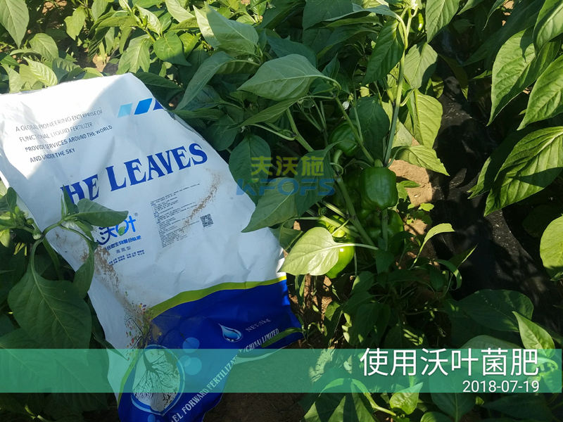 生物菌肥作用？