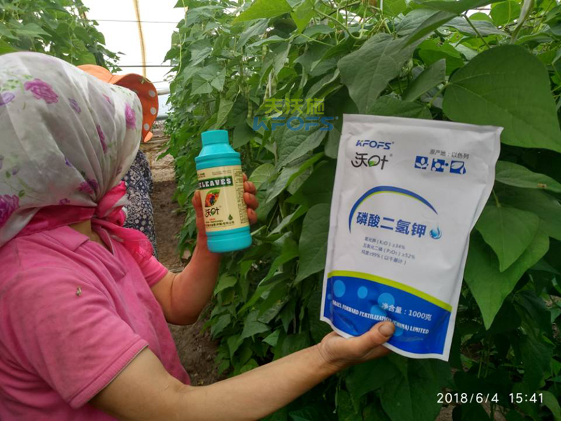 微生物菌肥的作用？