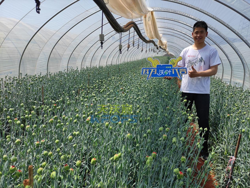 進(jìn)口水溶肥怎么選？王總的答案！