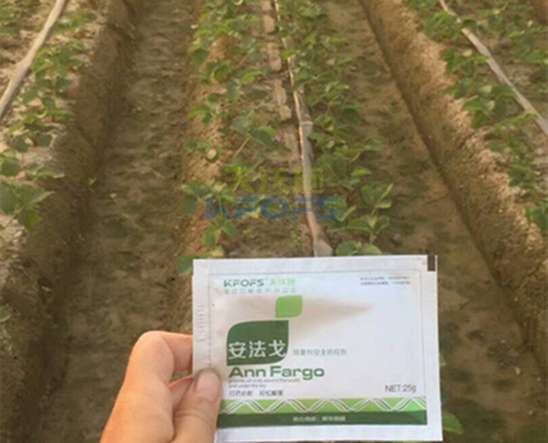 除草劑厲害是哪種？1.png
