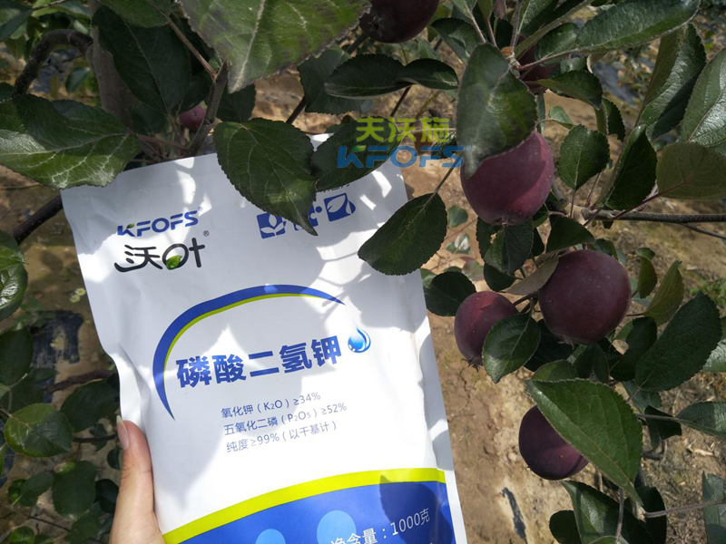 蘋果怎么施肥？1.png