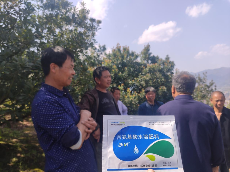 楊梅噴什么水溶肥好？