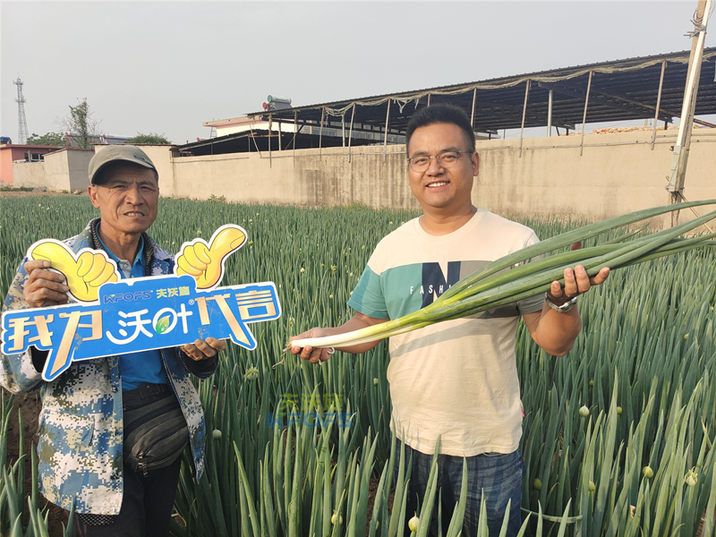 進口水溶肥以色列夫沃施，讓更多人受益！