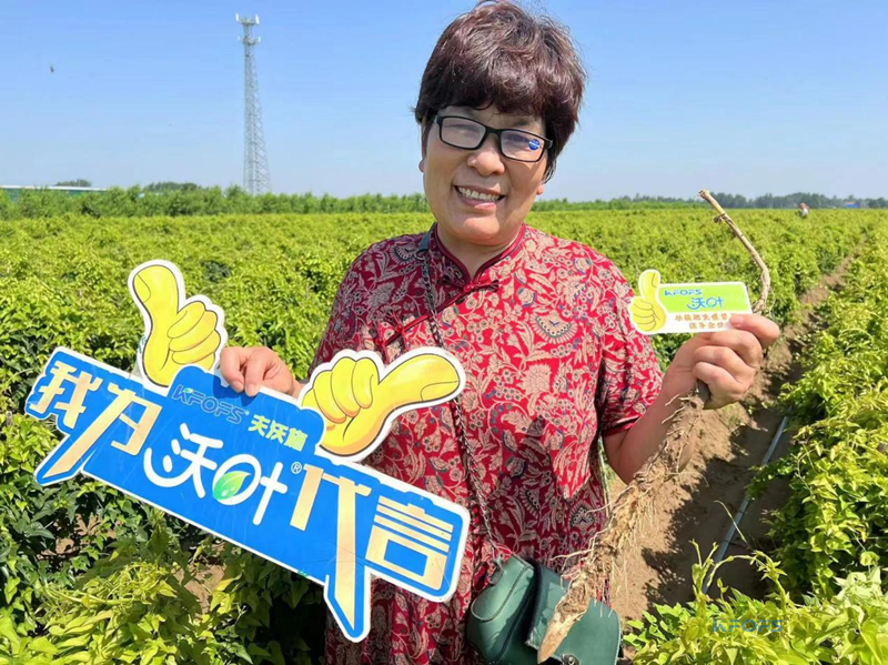 改良土壤肥料有哪些？夫沃施功能肥
