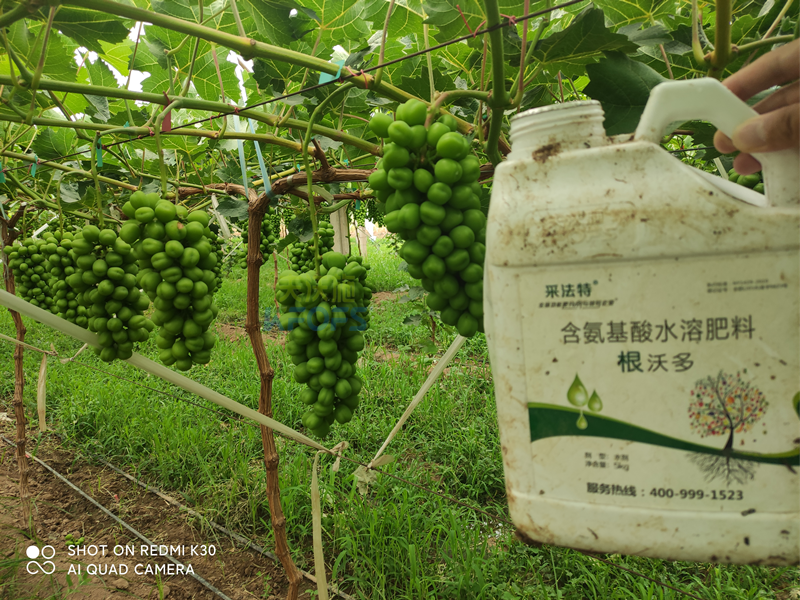 水溶肥怎么選？夫沃施告訴你這幾點