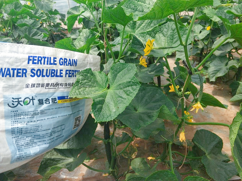 顆粒水溶肥有什么特點？