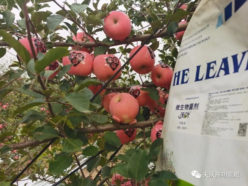 什么肥料能讓土壤變松？