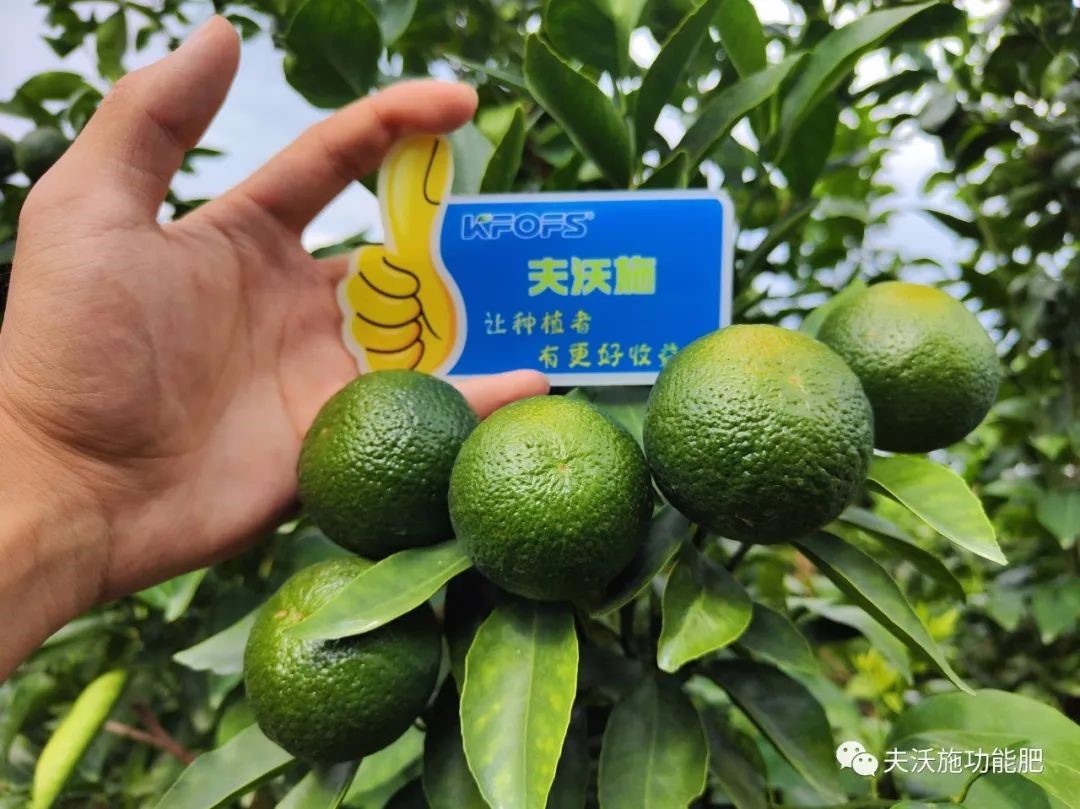改善土壤板結(jié)用什么肥料？