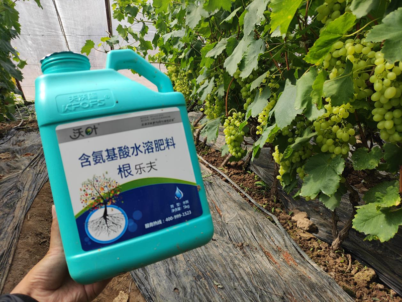 水溶肥選擇，要注意什么?
