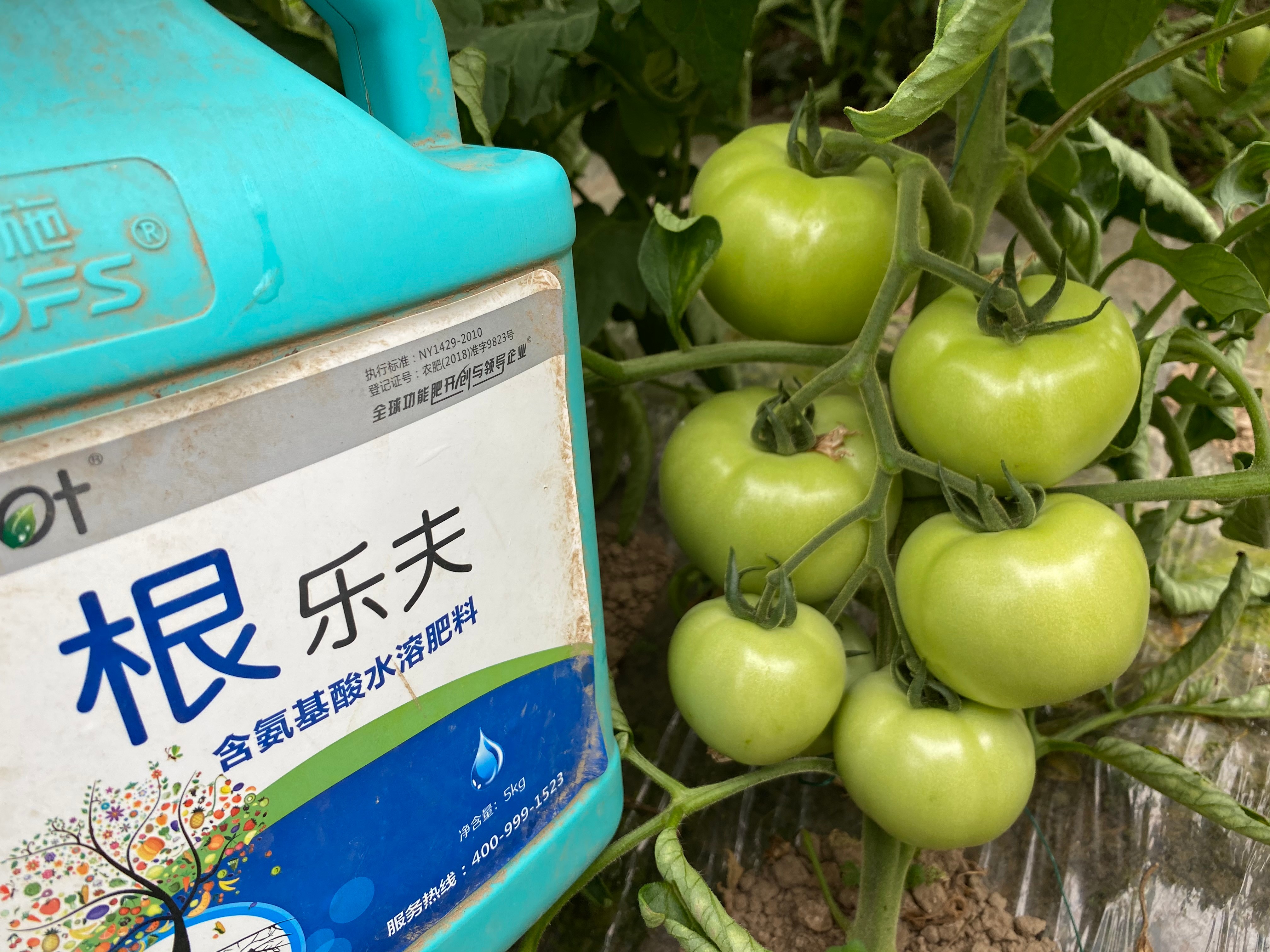 生根劑效果好不好？