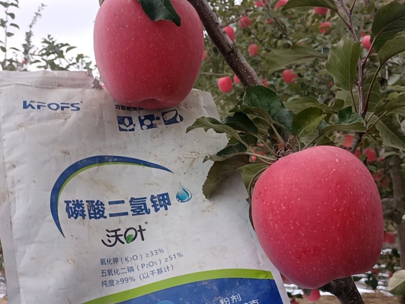 蘋(píng)果樹(shù)施什么肥料好-沃葉磷酸二氫鉀 (2).jpg