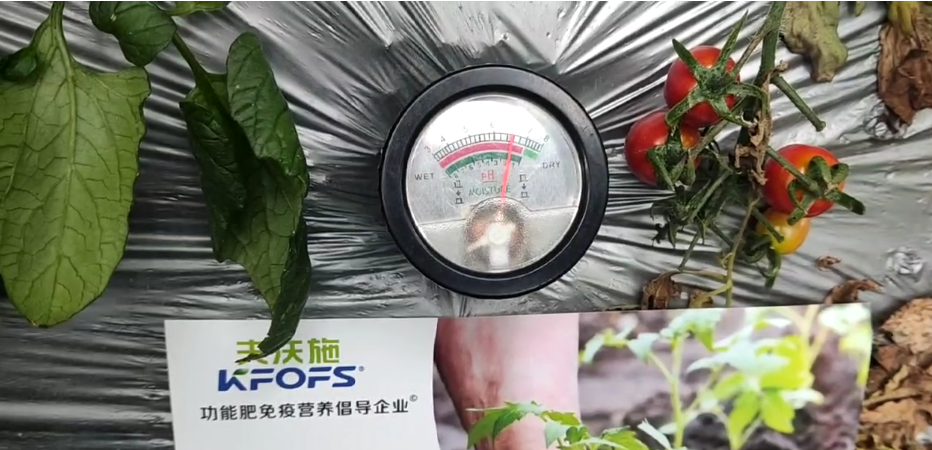 微生物菌劑，為什么被越來越多的人選擇？
