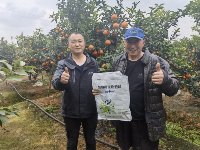 柑橘樹用什么肥料最佳？四川何大爺案例