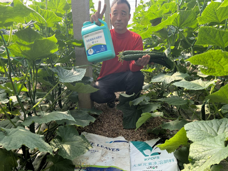 種植蔬菜用什么肥料最好？兩個解決，兩個方案
