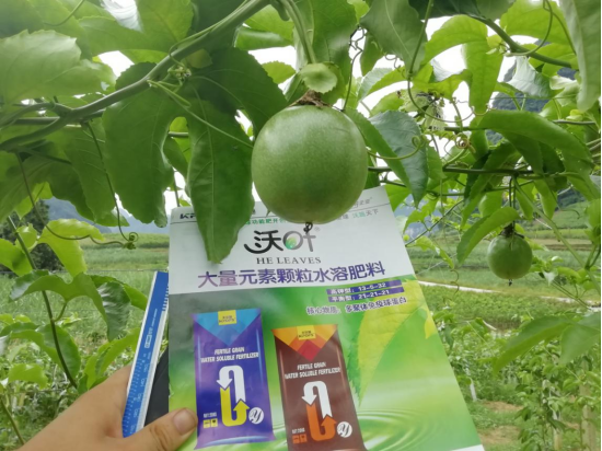 顆粒水溶肥品牌，跟著這樣選！