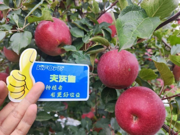 微生物菌劑，作物增產(chǎn)的“敲門(mén)磚”
