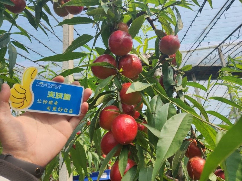 微生物菌劑的作用，你真的了解嗎？