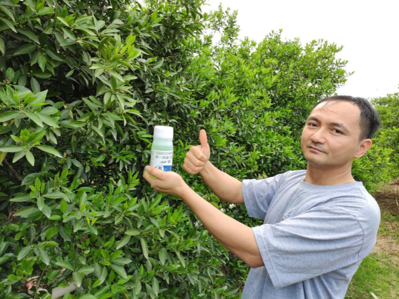 柑橘用什么肥料好-用戶見(jiàn)證.png