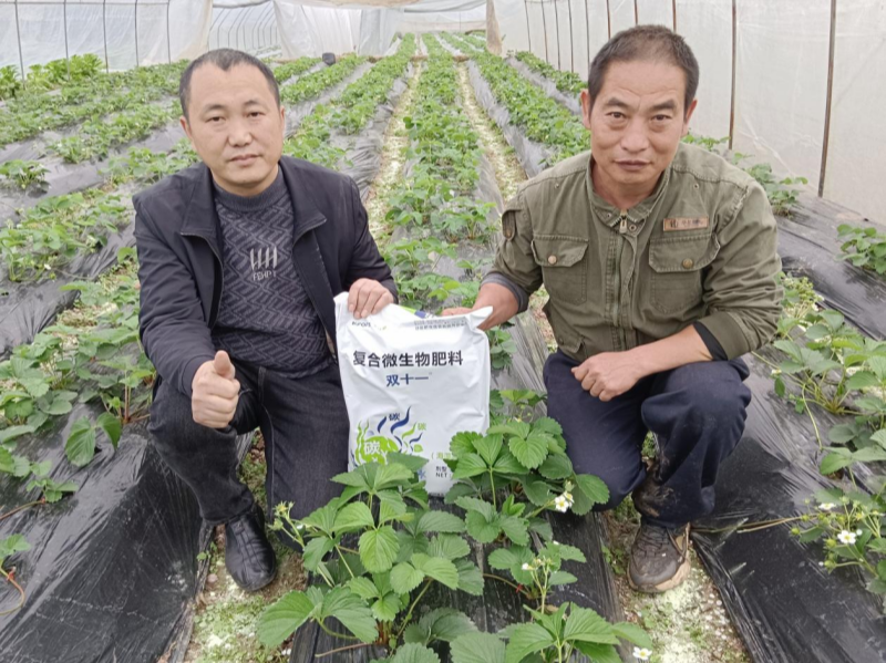 土壤板結(jié)的原因及解決辦法，總結(jié)6點