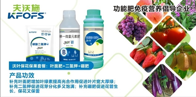 ?；ū９~面肥
