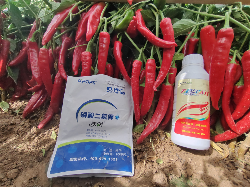 磷酸二氫鉀是葉面肥嗎？
