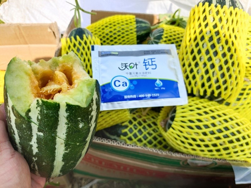 鈣肥這樣用，效果更好